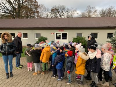 Starszaki w Schronisku dla bezdomnych zwierząt.