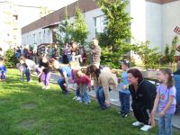 gallery1